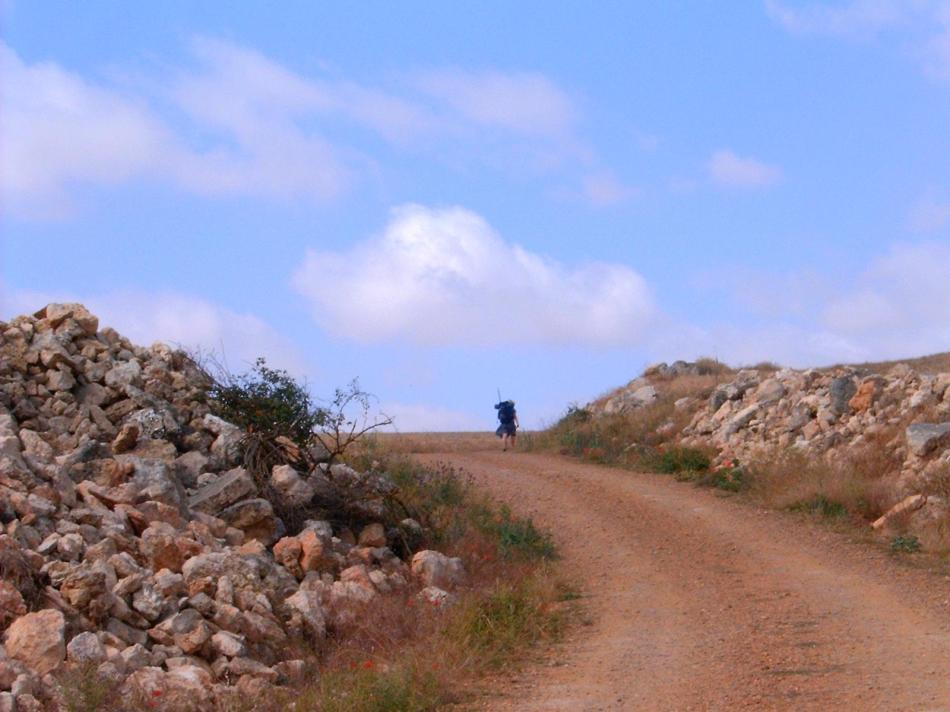 A Camino zarándoklat gyümölcsei