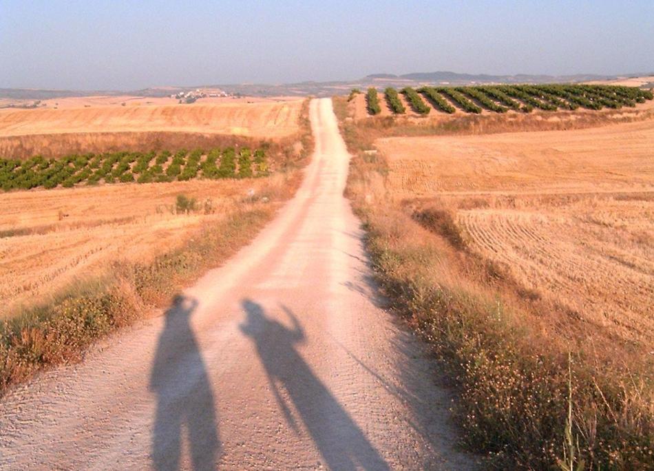 A Camino zarándoklat gyümölcsei