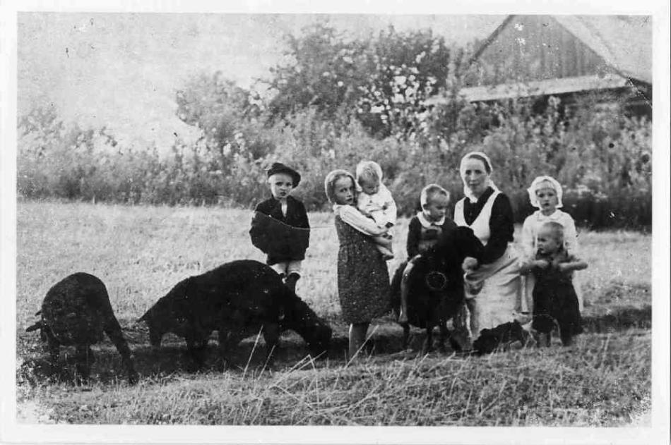 A boldoggá avatott Ulma család példája