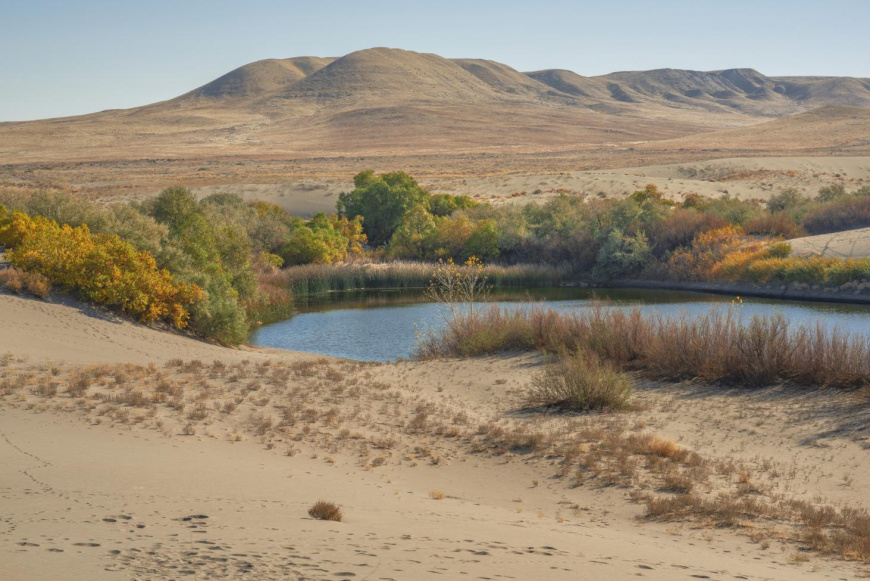 &bdquo;F&eacute;l&uacute;ton a f&eacute;ny fel&eacute;&rdquo; &ndash; Kitart&aacute;sra b&aacute;tor&iacute;t&oacute; szavak nagyb&ouml;jt idej&eacute;re