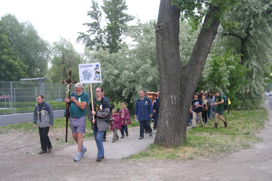 M&aacute;ri&aacute;t&oacute;l M&aacute;ri&aacute;ig vezet a Budapesti &Eacute;lő R&oacute;zsaf&uuml;z&eacute;r-zar&aacute;ndoklat