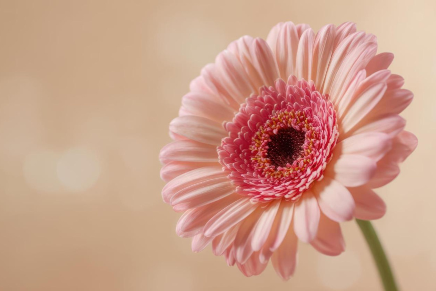 Term&eacute;kenys&eacute;gtudatoss&aacute;ggal kapcsolatos programok - Par&aacute;zs Pasztor&aacute;lis K&ouml;zpont