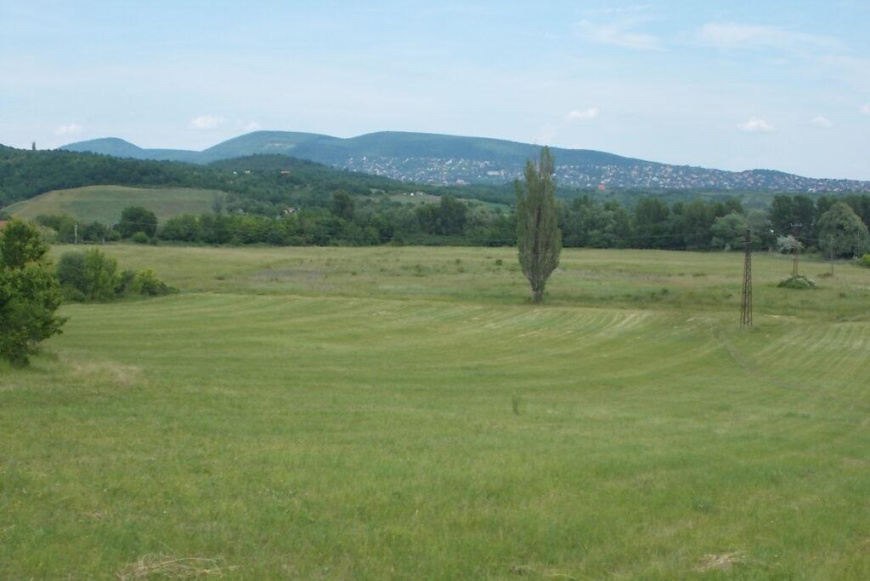 Családi nap, 2024 ősz