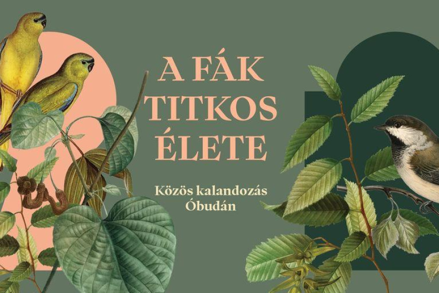 A fák titkos élete- kirándulás