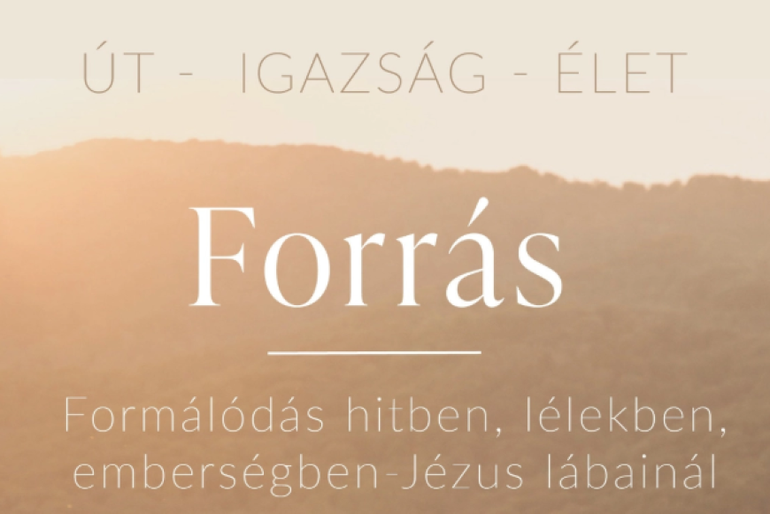 Forrás program - hivatástisztázó év