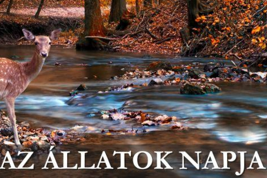 Az állatok világnapja