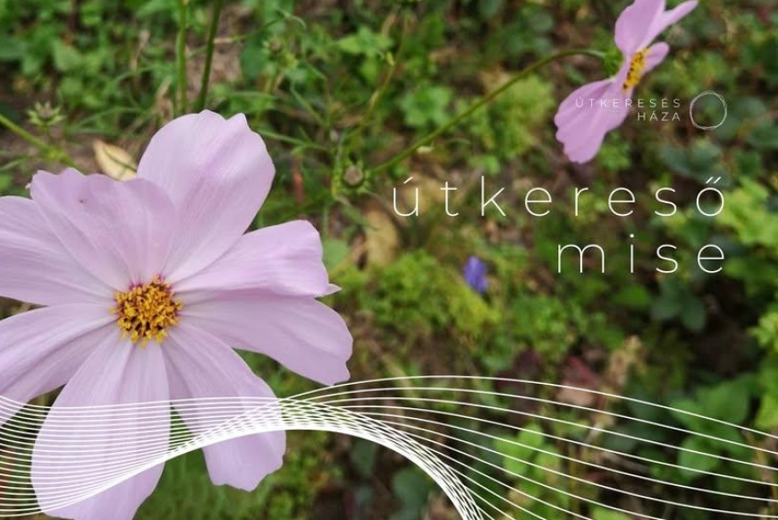 Útkereső mise