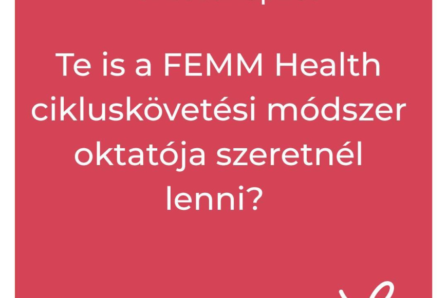 FEMM-oktatóképzés