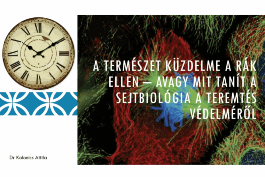 A Természet küzdelme a rák ellen – avagy mit tanít a sejtbiológia a teremtés védelméről 