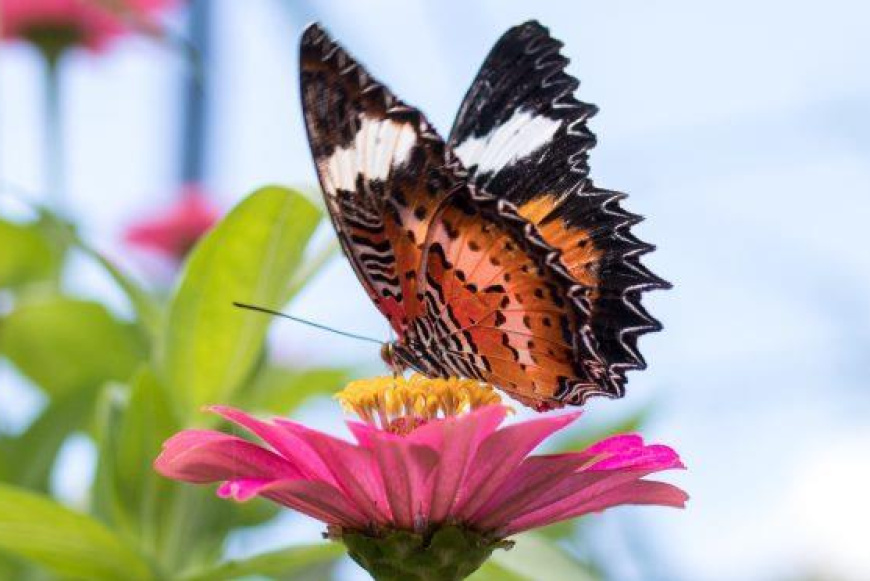 Ciklus-show gyermekfoglalkozás 