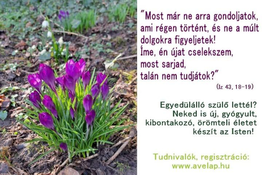 AVE kurzus elvált, egyedülálló szülőknek 2026