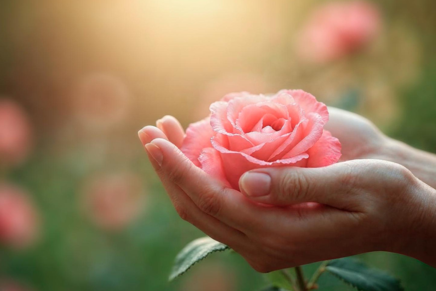 Sensiplan® természetes fogamzásszabályozási módszer oktatóképzés Kecskeméten