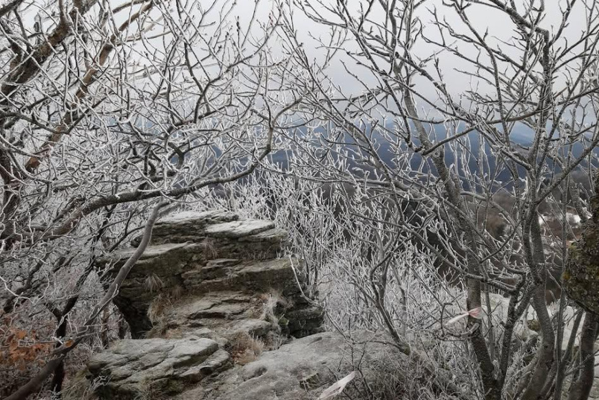 &Eacute;vz&aacute;r&oacute; lelki t&uacute;ra a Budai-hegys&eacute;gben