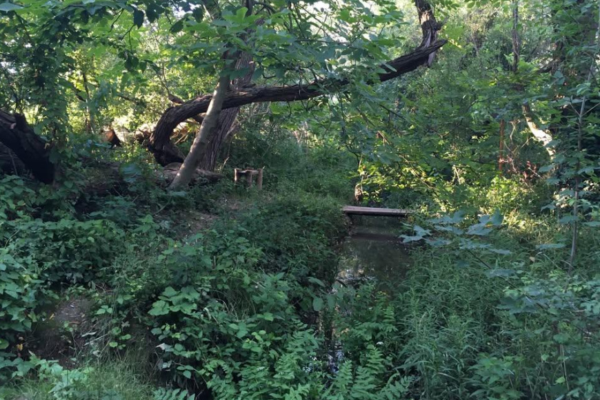 Madarak &eacute;s f&aacute;k napja a M&aacute;nyi Berekben