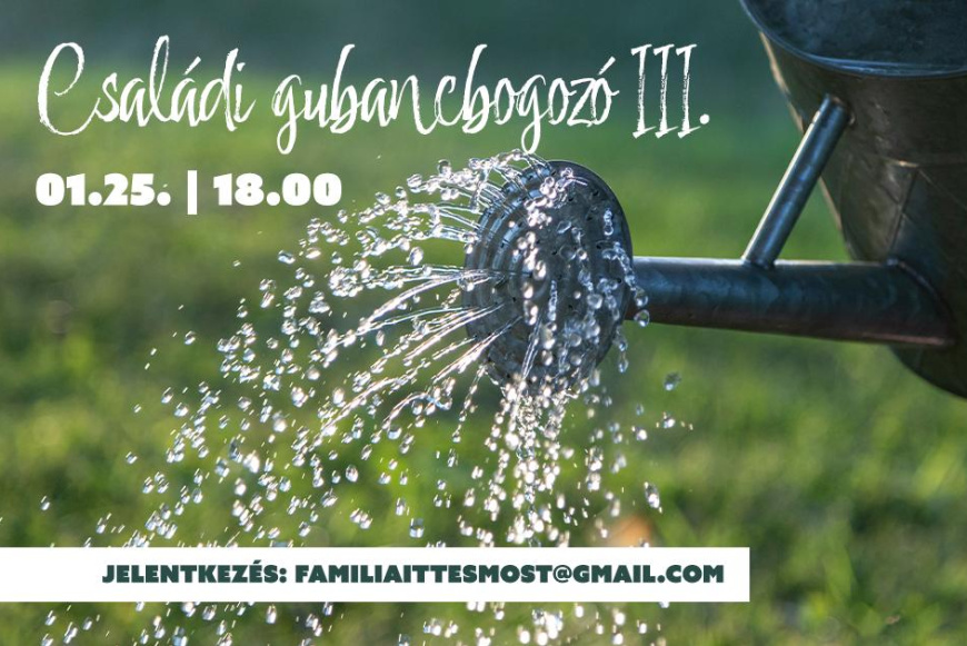 Csal&aacute;di Gubancbogoz&oacute; III.