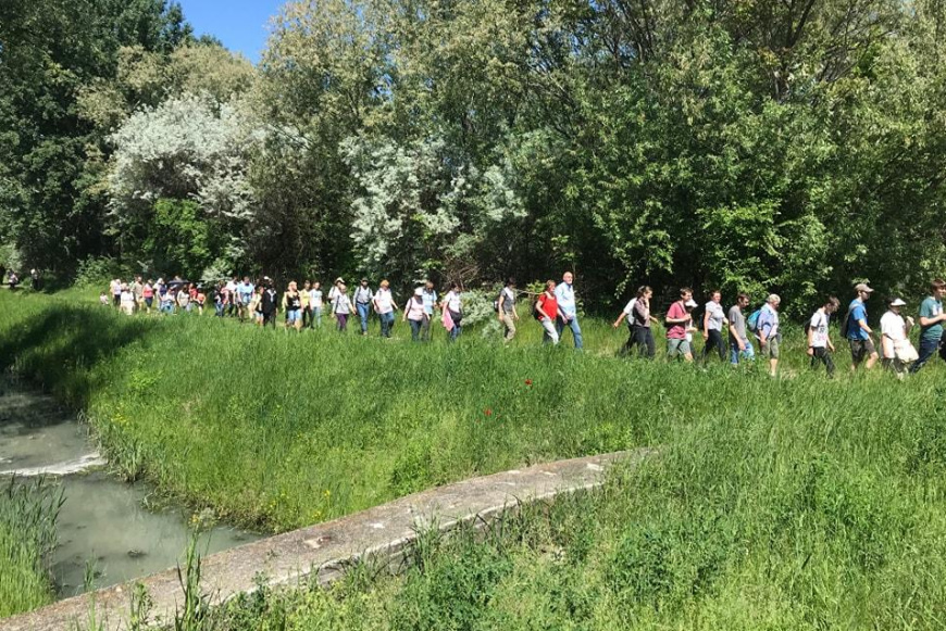 19. &Eacute;LŐ R&Oacute;ZSAF&Uuml;Z&Eacute;R ZAR&Aacute;NDOKLAT