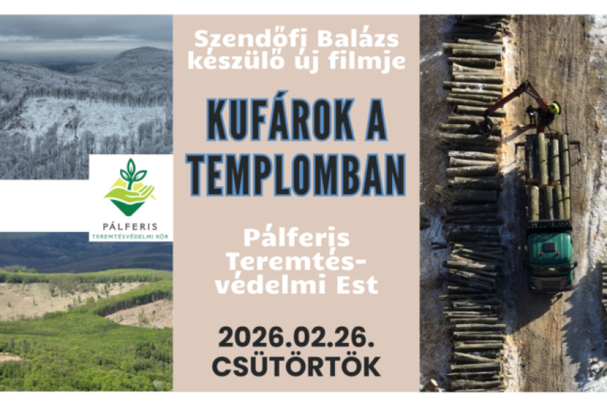 Filmvet&iacute;t&eacute;s &eacute;s besz&eacute;lget&eacute;s