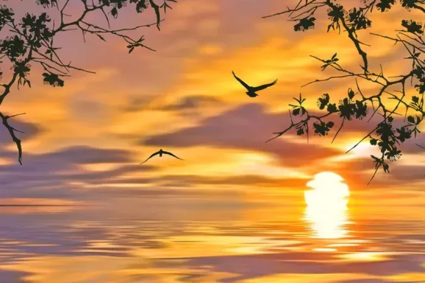 Come and See &ndash; m&aacute;jus