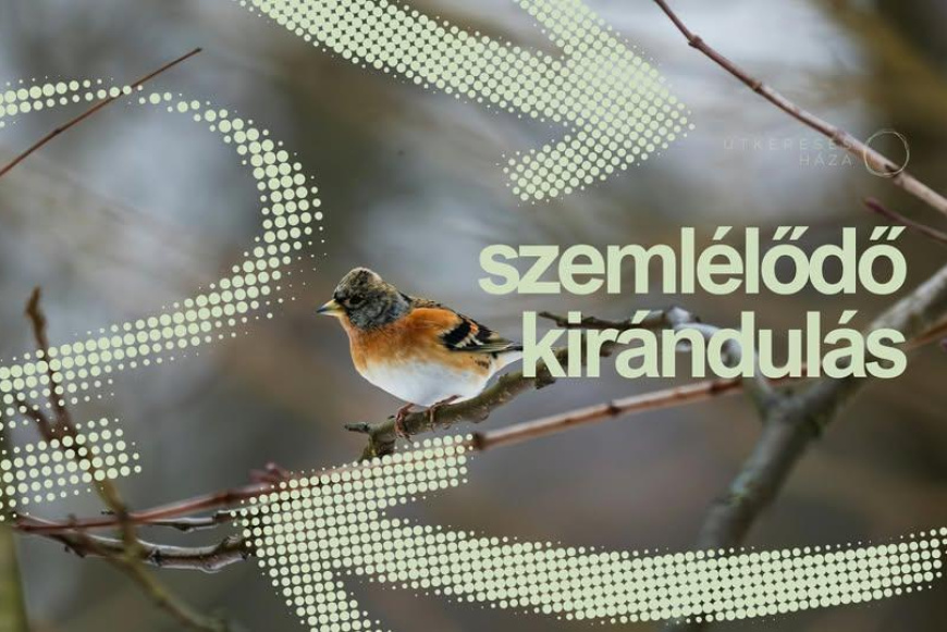 Szeml&eacute;lődő kir&aacute;ndul&aacute;s 2026.02.28.