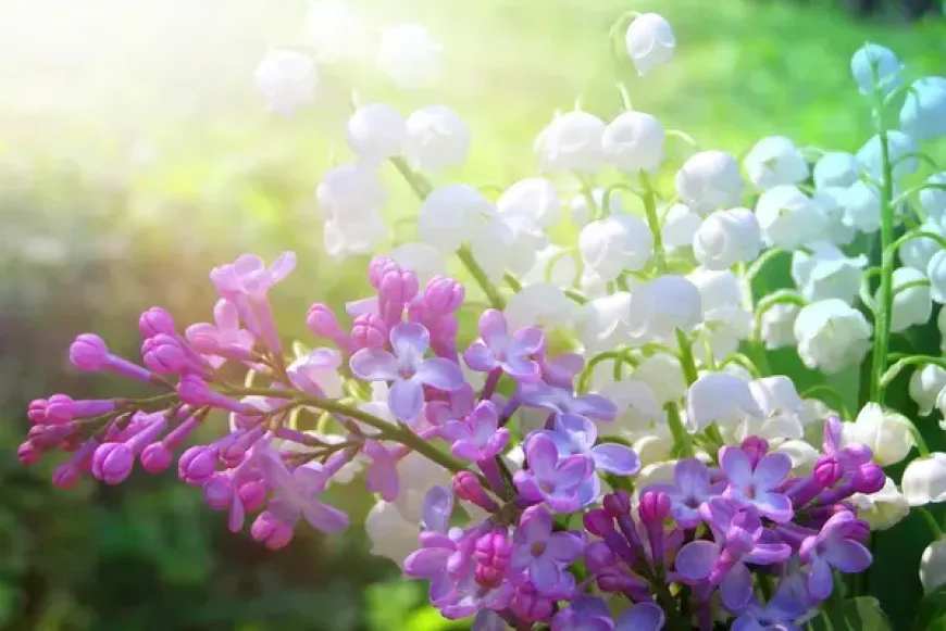 A Szeretet Lelk&eacute;ben meg&eacute;lt szerelem kinyilatkoztat&aacute;sa