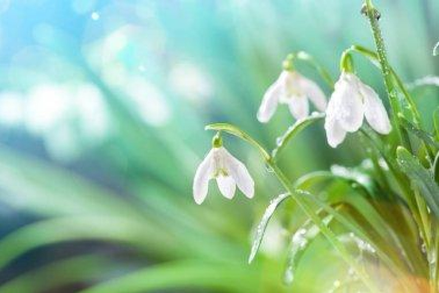 Nagyb&ouml;jti r&aacute;hangol&oacute; a MaranaTha Lelkigyakorlatos H&aacute;zban