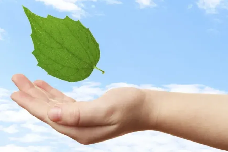 Naphimnusz Műhely-2026 m&aacute;rcius