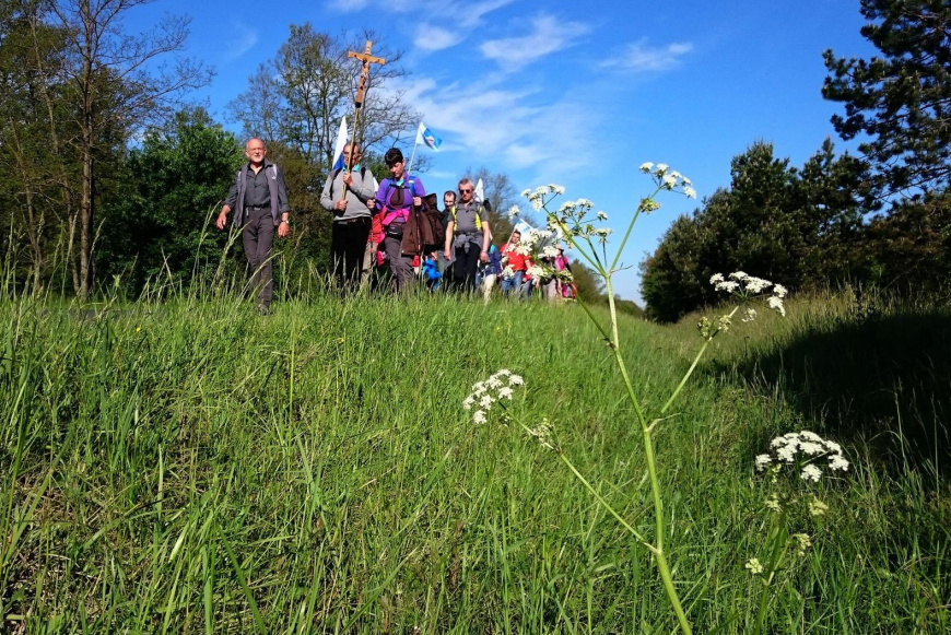 F&aacute;jdalmak &uacute;tja