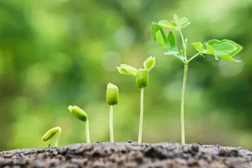 H&aacute;zast&aacute;rsak lelki h&eacute;tv&eacute;g&eacute;je a Katolikus Alkoholistamentő Szolg&aacute;lat szervez&eacute;s&eacute;ben - 2026.10.22-25.