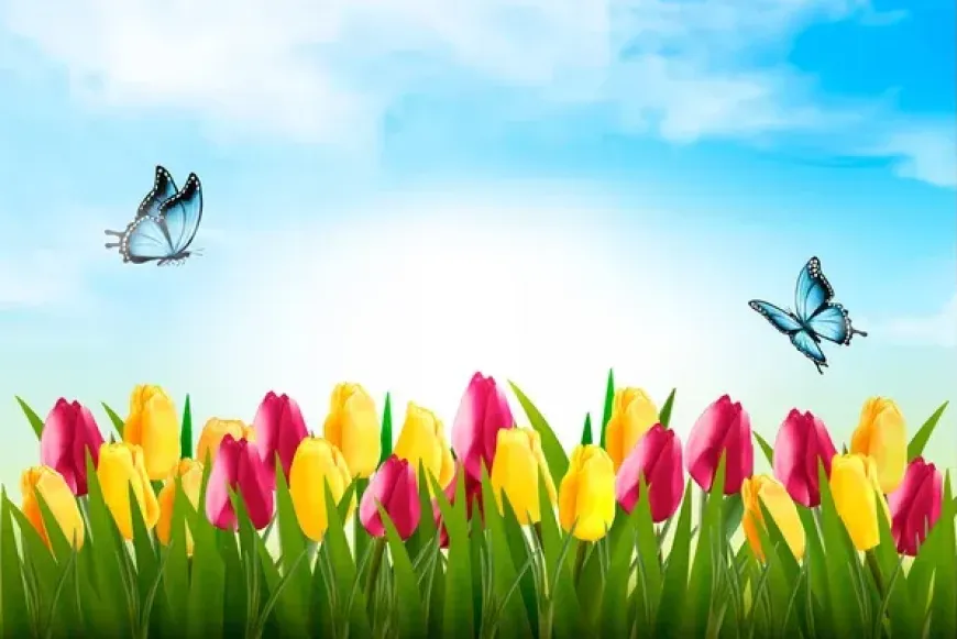 Tavaszi nap-&eacute;j egyenlős&eacute;g P&eacute;lif&ouml;ldszentkereszten 