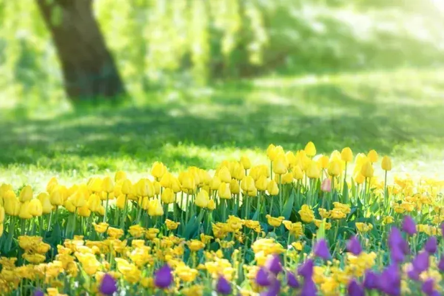 Lelkinap l&aacute;nyoknak