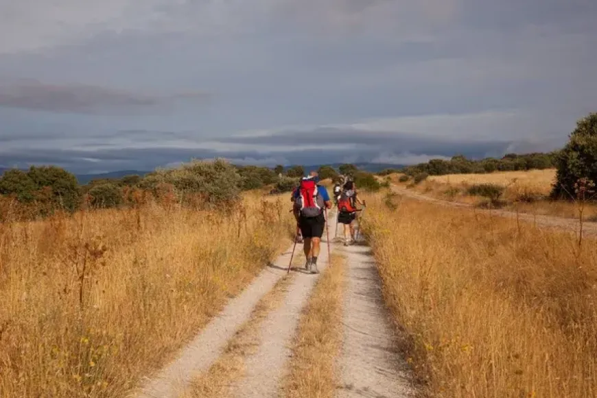 Zar&aacute;ndokt&aacute;bor a Tihany-Bakonyb&eacute;l-Pannonhalma &uacute;tvonalon 