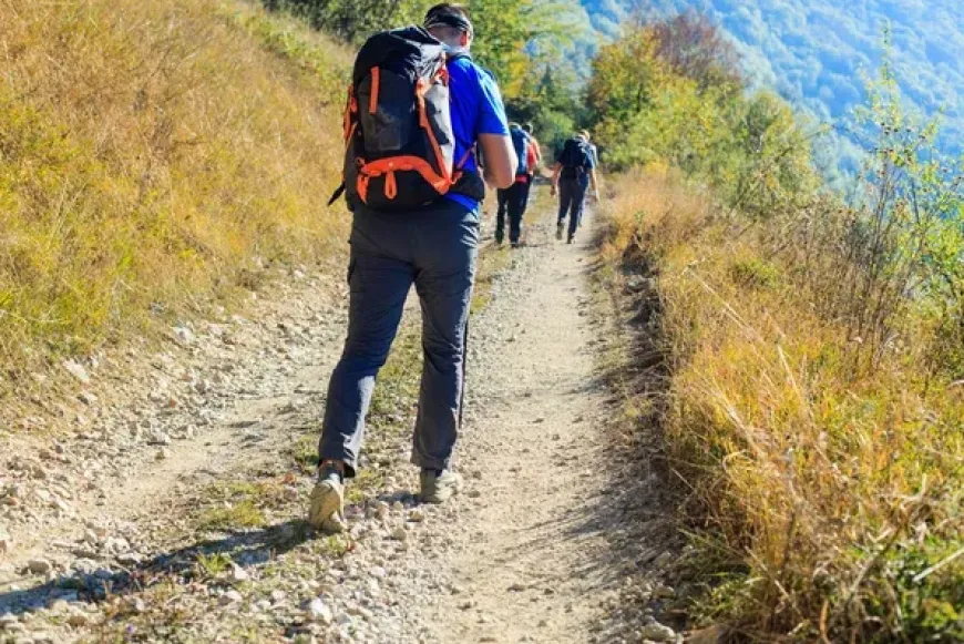 Zar&aacute;ndokt&aacute;bor a M&aacute;rianosztra - Sz&eacute;cs&eacute;ny - M&aacute;travereb&eacute;ly-Szentk&uacute;t &uacute;tvonalon