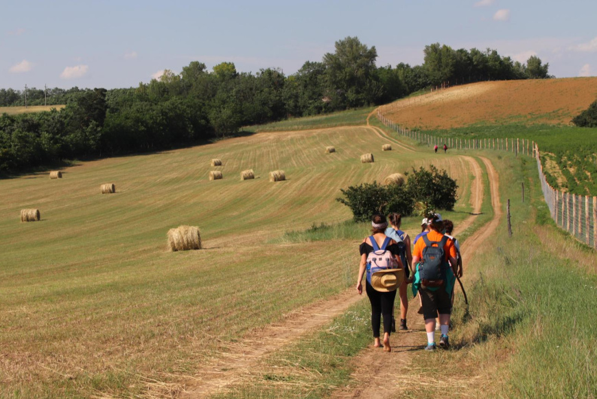 Zar&aacute;ndokt&aacute;bor a M&aacute;rianosztra - Sz&eacute;cs&eacute;ny - M&aacute;travereb&eacute;ly-Szentk&uacute;t &uacute;tvonalon