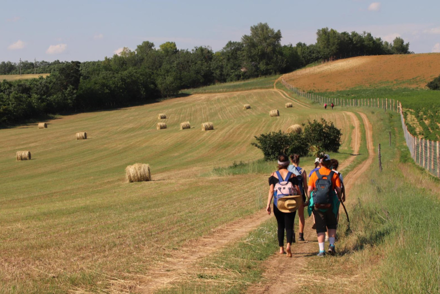 Zar&aacute;ndokt&aacute;bor a M&aacute;rianosztra - Sz&eacute;cs&eacute;ny - M&aacute;travereb&eacute;ly-Szentk&uacute;t &uacute;tvonalon