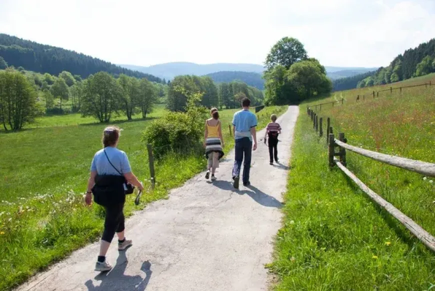 Zar&aacute;ndokt&aacute;bor a Marana Tha H&aacute;z (M&aacute;nfa) - M&aacute;riak&eacute;m&eacute;nd - M&aacute;riagyűd &uacute;tvonalon