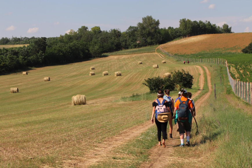 Zar&aacute;ndokt&aacute;bor a Marana Tha H&aacute;z (M&aacute;nfa) - M&aacute;riak&eacute;m&eacute;nd - M&aacute;riagyűd &uacute;tvonalon