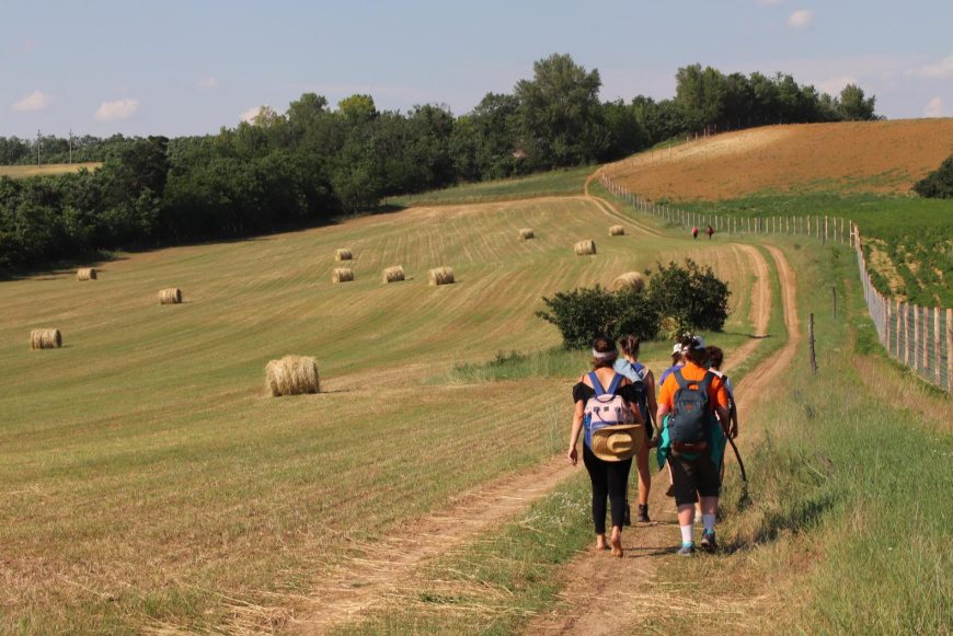 Zar&aacute;ndokt&aacute;bor a Marana Tha H&aacute;z (M&aacute;nfa) - M&aacute;riak&eacute;m&eacute;nd - M&aacute;riagyűd &uacute;tvonalon