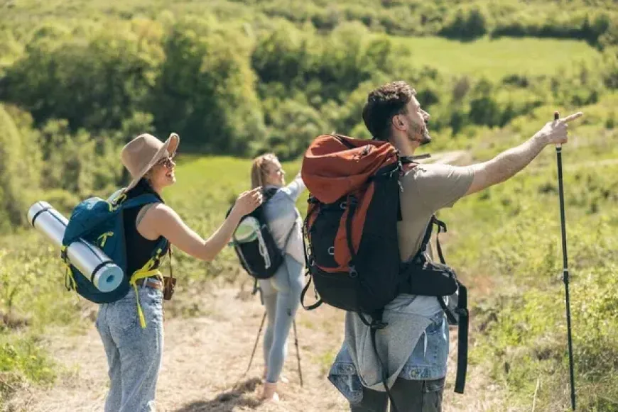 SZAL&Eacute;ZI ZAR&Aacute;NDOKT&Aacute;BOR