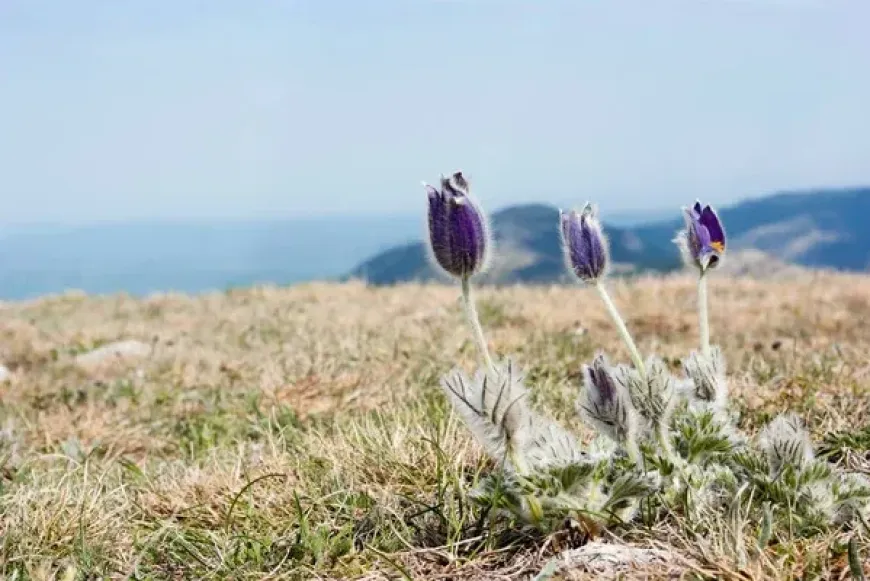 Szem&eacute;lyesen k&iacute;s&eacute;rt 3 napos Szent Ign&aacute;c-i lelkigyakorlat