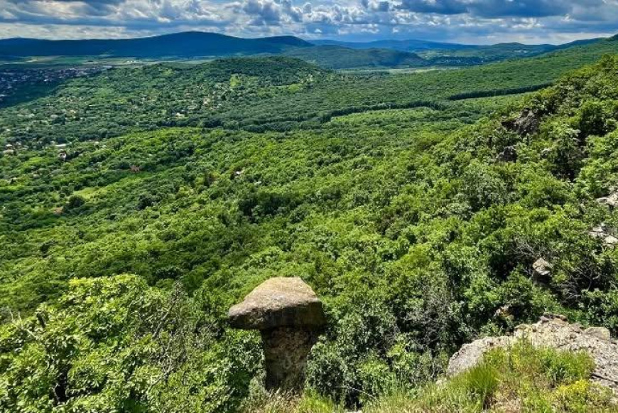 Lelki t&uacute;ra &eacute;s felfriss&uuml;l&eacute;s az &uacute;jrakezd&eacute;s jegy&eacute;ben
