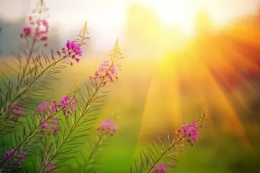 3 napos szem&eacute;lyesen k&iacute;s&eacute;rt Szent Ign&aacute;c-i lelkigyakorlat 2026.05.20.-24.