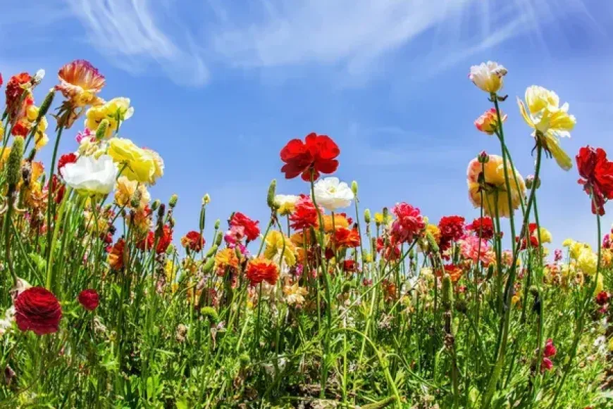 Szem&eacute;lyesen k&iacute;s&eacute;rt Szentign&aacute;ci lelkigyakoralt 2026.07.15-21.