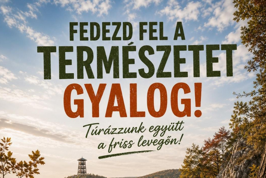Gyalogos előt&aacute;bor