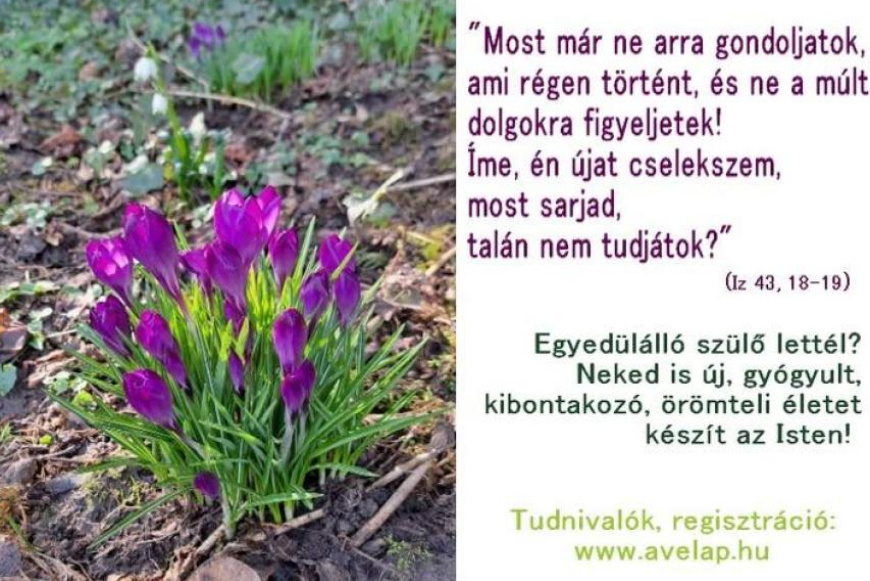AVE kurzus elv&aacute;lt, egyed&uuml;l&aacute;ll&oacute; sz&uuml;lőknek 2026. ősz