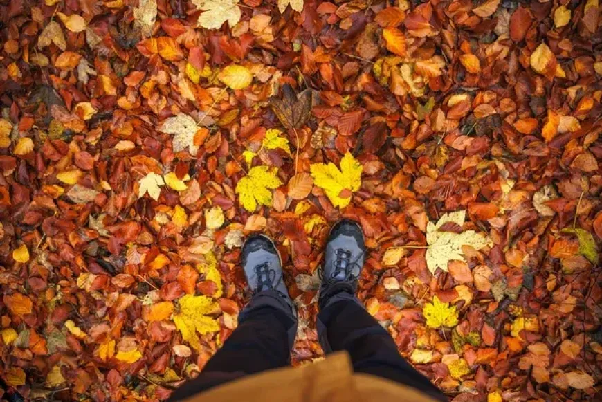 7 napos szem&eacute;lyesen k&iacute;s&eacute;rt lelkigyakorlat fiataloknak