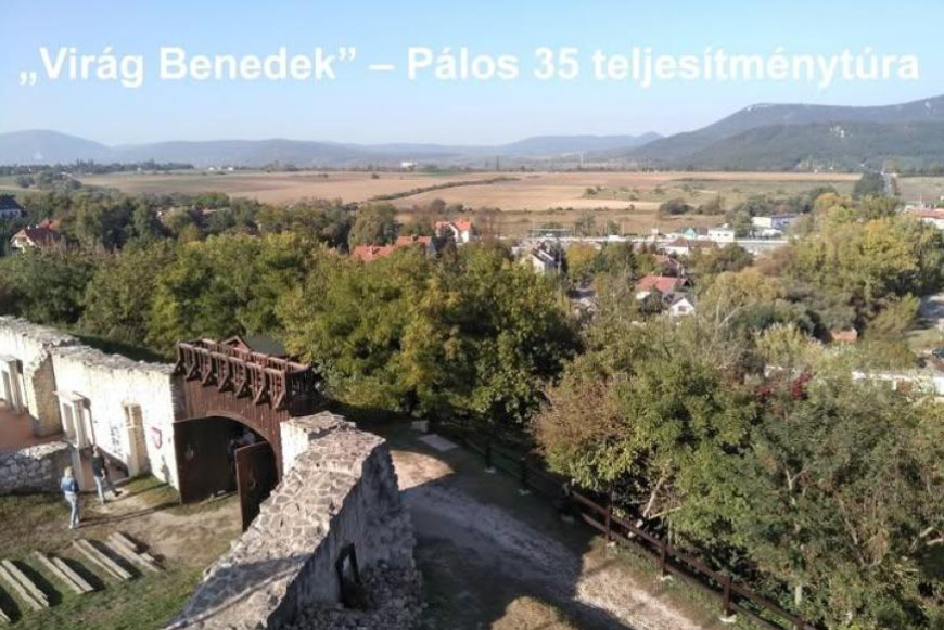 Vir&aacute;g Benedek &ndash; P&aacute;los 35 teljes&iacute;tm&eacute;nyt&uacute;ra