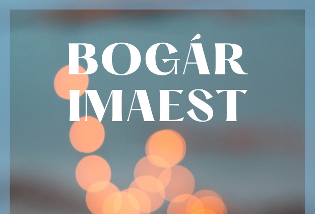 Bogár imaest - 2022.11.09.